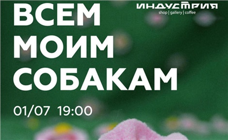 Всем моим собакам