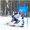 В «Бобровом логе» любители горных лыж и сноуборда поборются в финале Кубка Фанпарка