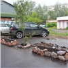 В Кировском районе «садоводы-партизаны» ночью разбили на месте парковки клумбу