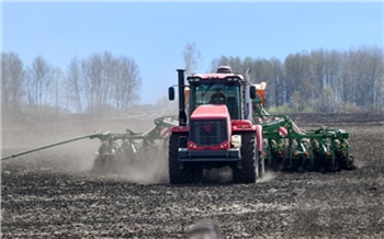«Раньше покупали семенной картофель в Голландии, теперь сами выращиваем не хуже»: репортаж с производства «Даров Малиновки»