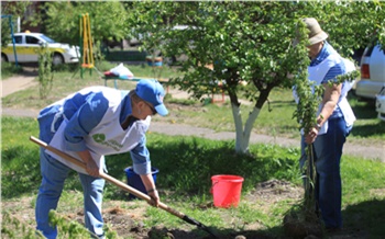 Больше деревьев активным красноярцам: «Зеленая дружина СГК» высадила саженцы во дворах правобережья