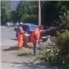 В Советском районе Красноярска дорожники при попытке исправить свои ошибки уничтожили дерево (видео)