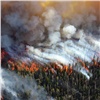 Почти 20 лесных пожаров в Красноярском крае могут оказаться поджогами. Ущерб от них превысил 54 миллиона