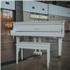 В Красноярском аэропорту появился белый рояль. На нём разрешат играть каждому (видео)