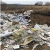 Красноярцев предупреждают об ответственности за незаконный выброс мусора. Штраф — до миллиона рублей