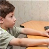 Красноярская мэрия продолжает искать компьютеры для учёбы школьников на дому во время коронавируса