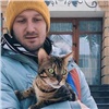 Бродячие собаки загрызли кота красноярского олимпийца и депутата Горсовета Николая Олюнина