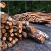 Для ужесточения контроля за работой лесопромышленных предприятий в Богучанах создают подразделение эконадзора
