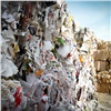 Депутаты ЗС о мусорной реформе: «В Красноярске закрыли два мусоросортировочных завода и не построили ни одного»