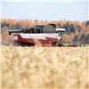 «На поддержку претендуют около 500 предприятий»: аграрии Красноярского края получат 207 миллионов рублей на производство и сбыт зерновых