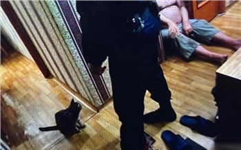 «Снимайте, он меня убил!»: как я с полицией патрулировала правобережье Красноярска