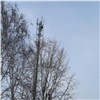 Мобильная связь появилась еще в трех отдаленных поселках Красноярского края