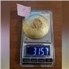На севере Красноярского края полицейские нашли незаконно добытое золото на 3 млн рублей