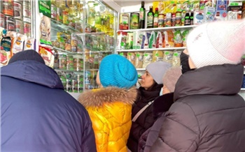 «Сахар дороже, зато без ограничений»: как отличаются цены на красноярских продуктовых базах и в супермаркетах?