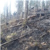 На красноярских «Столбах» двое суток тушили пожар на 14 гектарах