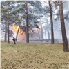 В Минусинском районе из-за пала травы сгорел заброшенный летний лагерь