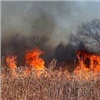 В Красноярском крае штрафы за поджог леса выросли в 15-20 раз