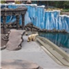 «Такого нет даже в Европе»: в красноярском зоопарке закончили первый декоративный вольер для белых медведей