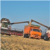 «Идет высокими темпами»: более половины зернопроизводящих районов Красноярского края включились в уборочную