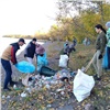 Из Красноярска вывезли почти половину собранного на субботнике мусора 