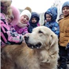 Собаки-«терапевты» побывали у красноярских детсадовцев 