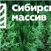 За благотворительную помощь участникам СВО и их семьям компания из Минусинска «Сибирский массив» получила благодарность от местной администрации