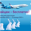 В честь символа 2023 года авиакомпания Nordstar организует бесплатный провоз зайцев и кроликов