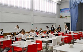 «Нужна единая система для учителей, родителей и поставщиков»: как проходит цифровизация школ Красноярского края