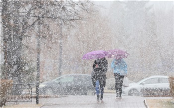 «Зима, ты, блин, свалишь уже или нет?»: как красноярцев накрыло внезапным снегопадом