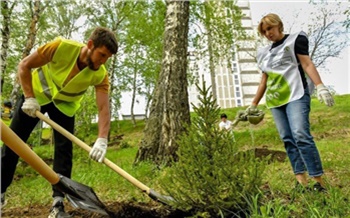«Здесь будет настоящий сад!»: красноярские студенты и экологи высадили деревья возле СФУ
