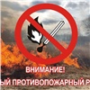 В большинстве районов Красноярского края отменили особый противопожарный режим