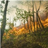 Ситуация с лесными пожарами в Красноярском крае стабилизировалась