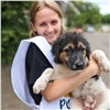 Красноярские нефтяники собрали 200 кг «подарков» для животных из приюта «Алькин дом» и помогли навести порядок на территории