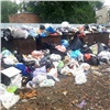 «Антисанитария и зловония»: прокуратура потребовала разобраться с мусорным коллапсом на юге Красноярского края