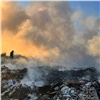 Пожар на свалке под Красноярском не повлиял на чистоту воздуха