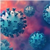 В России готовятся к новой волне заболеваний коронавирусом