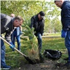 Мэр Красноярска вместе с молодежью высадил деревья в сквере «Сибсталь»