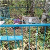 В Ачинске разыскивают разгромивших кладбище вандалов