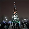 Новогодняя елка в Красноярске обойдется бюджету в 16 млн рублей
