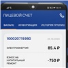 В новой версии мобильного приложения «Красноярскэнергосбыт» можно узнать срок замены счетчика и скачать показания