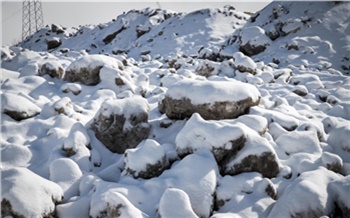 «Вся эта грязь попадает в почву»: красноярские экологи бьют тревогу из-за куч черного снега