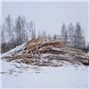 Контрабанду древесины почти на 5 млн рублей выявили в Красноярском крае