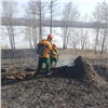 В Красноярском крае потушили первый в году лесной пожар