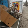 В Красноярске на улицах начали продавать вербу