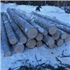 В Красноярском крае глава крестьянского хозяйства вырубил лес на сумму свыше 3,9 млн