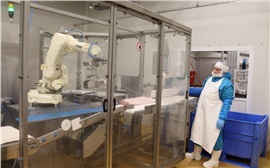 На крупнейшем в Красноярском крае свинокомплексе начал работать робот-упаковщик