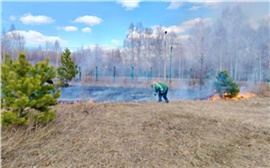 Из-за костра в восточной части красноярского Татышева вспыхнула трава
