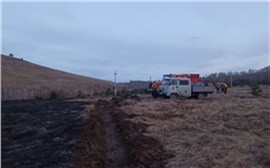 На юге Красноярского края из-за костра выгорела трава на площади 5 га