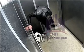 В Красноярске женщина избила собаку в лифте (видео)