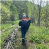 Пропавшего 7 месяцев назад дедушку нашли мертвым в лесу под Лесосибирском